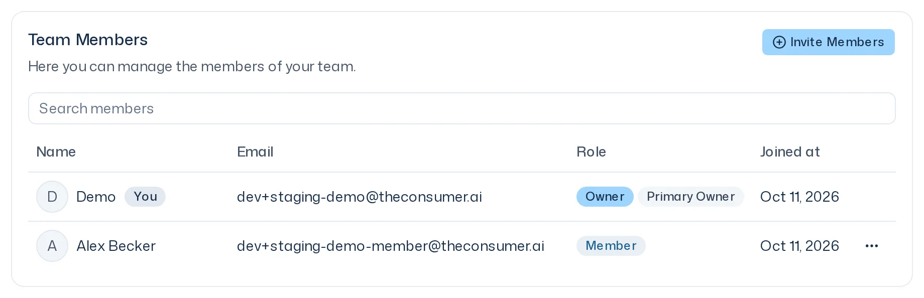 Team Members card with a search field and a table of two people: an owner marked Primary Owner and a member